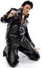 Elvis Presley Lookalike